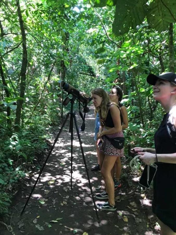 Casa Marbella Villa Tortuguero Eksteriør billede