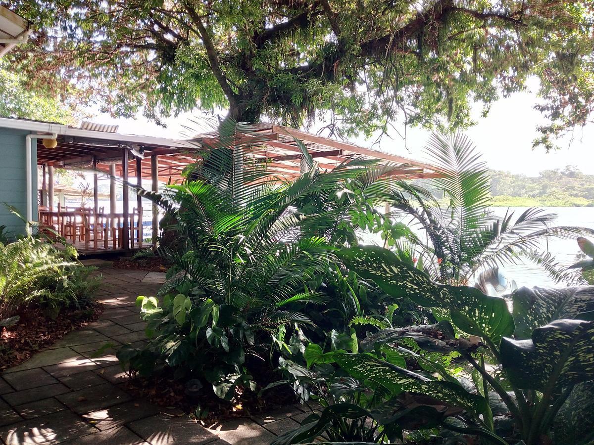 Casa Marbella Villa Tortuguero Eksteriør billede